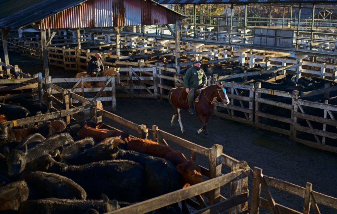 CNNE 1073166 - argentina-liniers-cattle-market