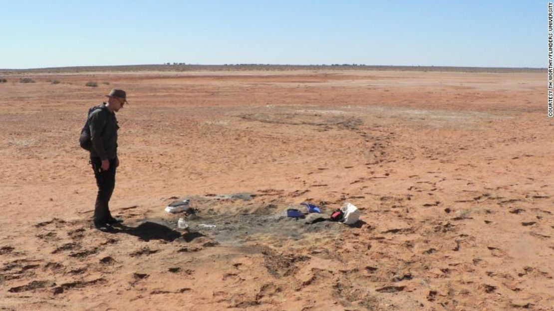 El paleontólogo de la Universidad de Flinders Warren Handley en un lugar de excavación cerca del lago Pinpa, en Australia del Sur.