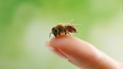CNNE 1074313 - conoce las colmenas de abejas mas altas del mundo