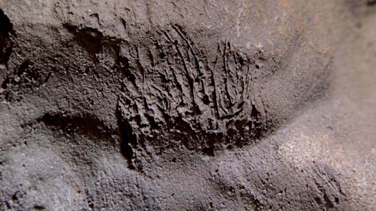 CNNE 1075070 - una cueva da pistas sobre los neandertales