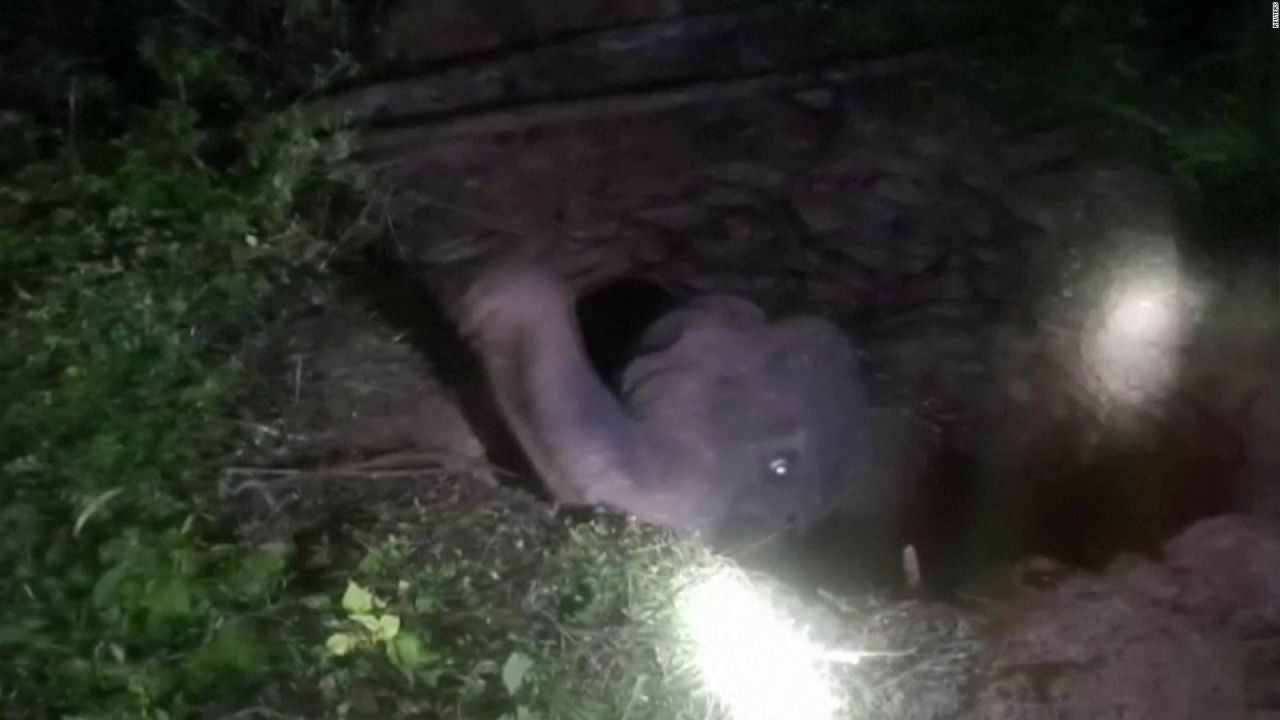 CNNE 1077114 - dramatico rescate de un elefante atrapado en una fosa