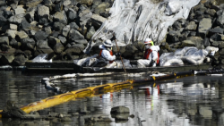 CNNE 1078725 - derrame de petroleo causo gran impacto en el ecosistema