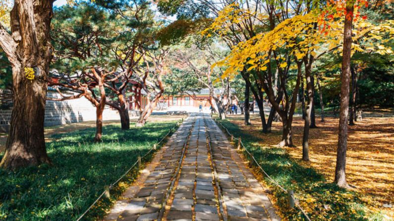 Jongno 3-ga, Seúl, Corea del Sur: Time Out calificó este distrito de Seúl como "histórico, excéntrico y muy poco pretencioso". Crédito: Shutterstock/Time Out