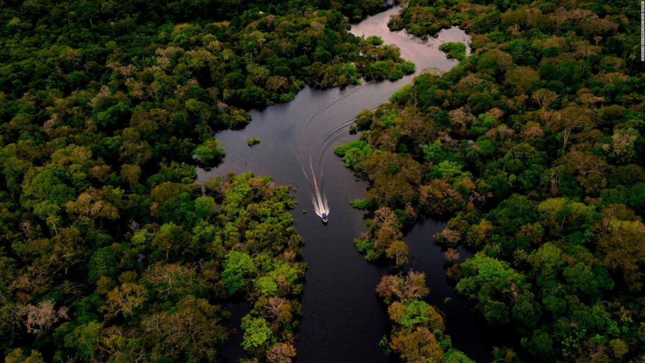 CNNE 1080044 - facebook prohibira venta de suelo protegido en  amazonas