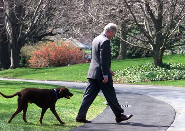 Bill Clinton camina con su perro Buddy fuera de la Casa Blanca, después de su llegada desde Camp David el 29 de marzo de 1999. (FOTO: LUKE FRAZZA / AFP).