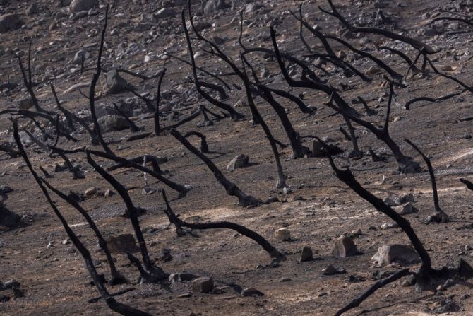 A la falta de agua se le suman los graves incendios que sufre California desde hace meses.