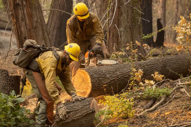 Los incendios también dañaron partes del Cañón de las Secuoyas, que alberga uno de los mayores bosques de secuoyas, así como árboles de esa especie de edad avanzada.