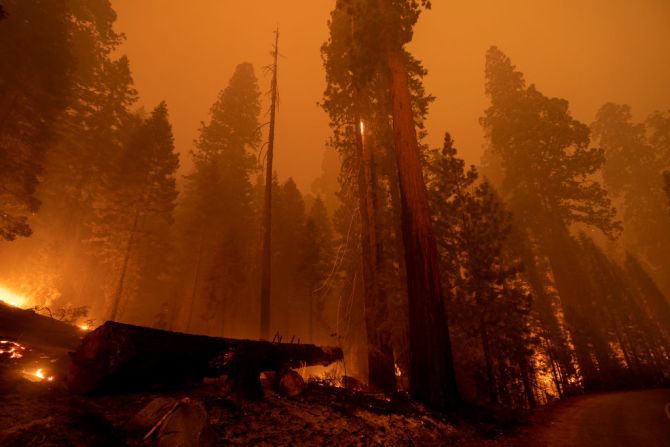El Bosque Nacional de Secuoyas acechado por las llamas durante un incendio ocurrido en septiembre. En lo que va de 2021 se quemaron más de un millón de hectáreas en California.