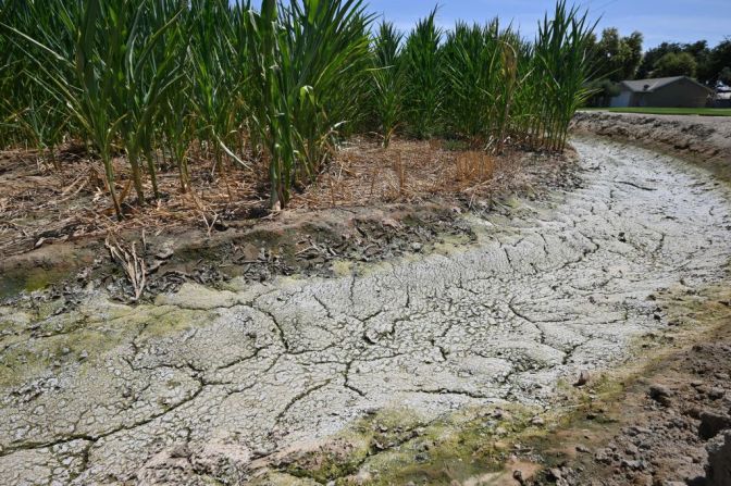 El suelo seco y agrietado en una zanja de riego junto a un campo de maíz en una granja en Fresno, California. Los agricultores del Valle Central, desesperados por conseguir agua para regar los cultivos en medio de una grave sequía.