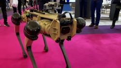 CNNE 1086307 - este perro robot es la sensacion de la milipol en paris