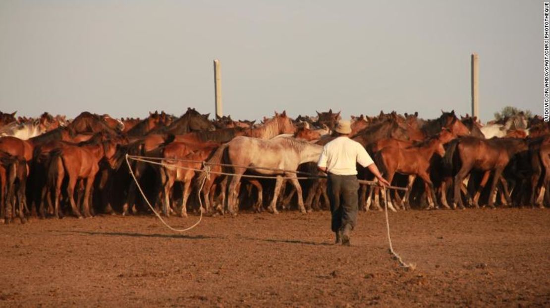 Esta imagen muestra a un agricultor capturando caballos en el centro-norte de Kazajstán.