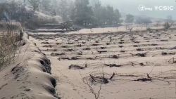 CNNE 1088885 - los vinedos en la palma son danados por cenizas del volcan