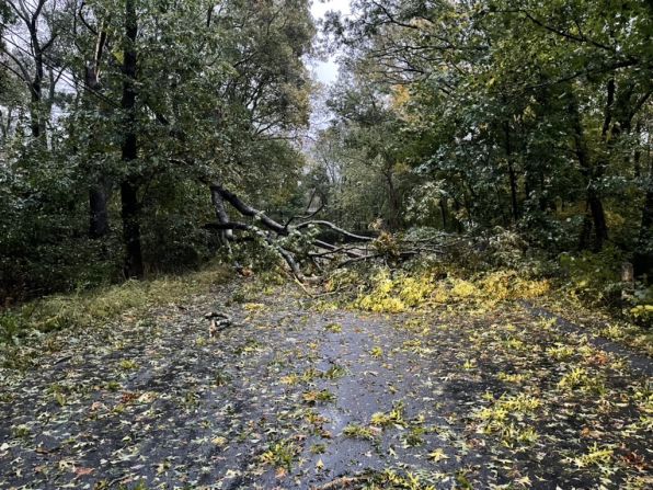 En Hingham, Massachusetts, la tormenta también provocó varios destrozos.