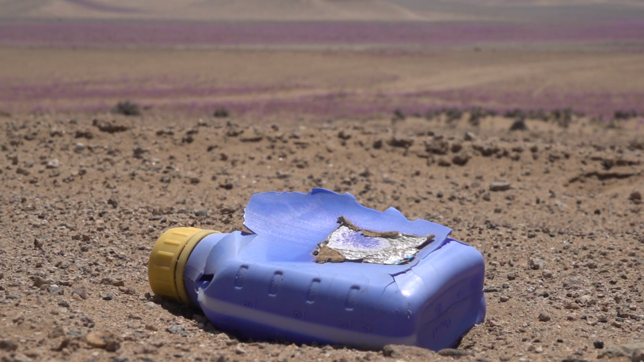 CNNE 1091839 - este fenomeno en el desierto esta bajo amenaza por la crisis climatica