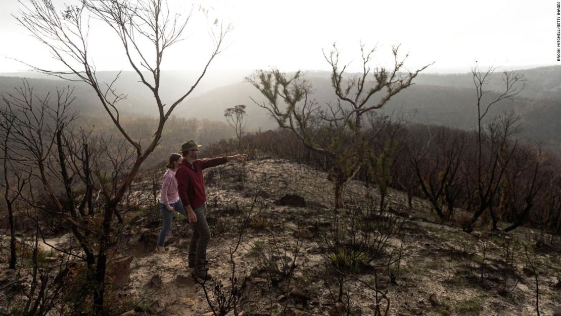 Dos personas caminan por una zona devastada por el fuego en el Área del Patrimonio Mundial de las Grandes Montañas Azules, cerca de la ciudad de Blackheath, Australia, el 21 de febrero de 2020. Crédito: Brook Mitchell