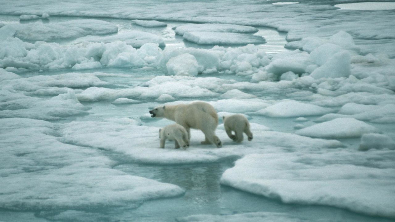 CNNE 1092156 - ¿se aprobara el presupuesto para luchar contra el cambio climatico?