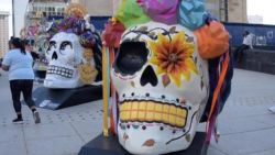 CNNE 1092800 - 211028195055-fridacraneos-frida-khalo-exposicion-dia-muertos-perspectivas-mexico-nat-pkg-00000000-story-top