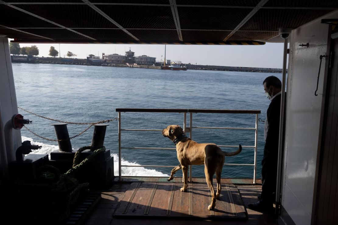 Boji viaja en un ferri al distrito de Beşiktaş de Estambul.