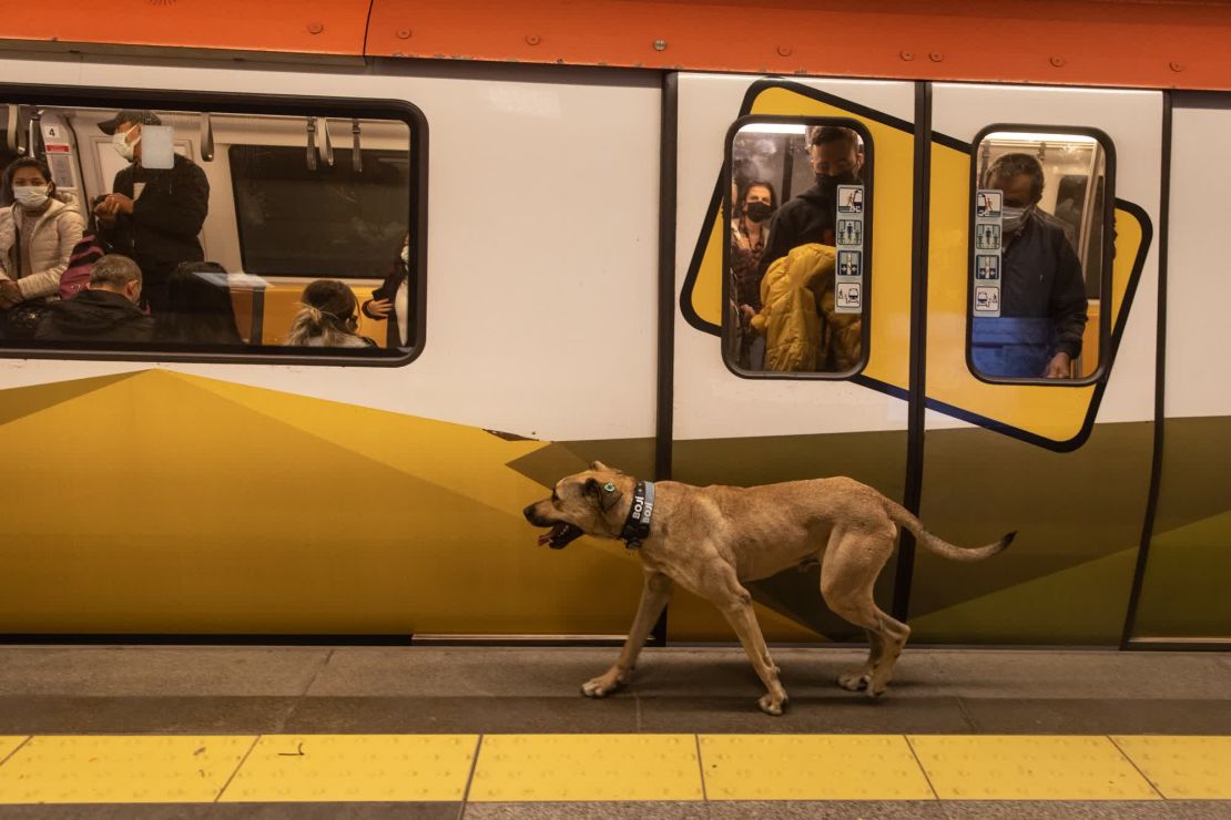 Boji espera en el andén para subir a un vagón del metro.