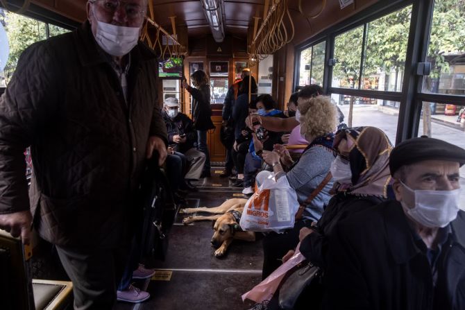Boji viaja en un tranvía en Kadıköy. Los trabajadores municipales también protegen a Boji, y lo han estado cuidando.