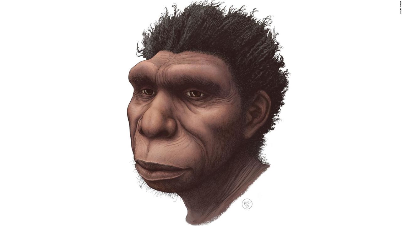 CNNE 1095220 - bodoensis, un ancestro para sumar en nuestra evolucion