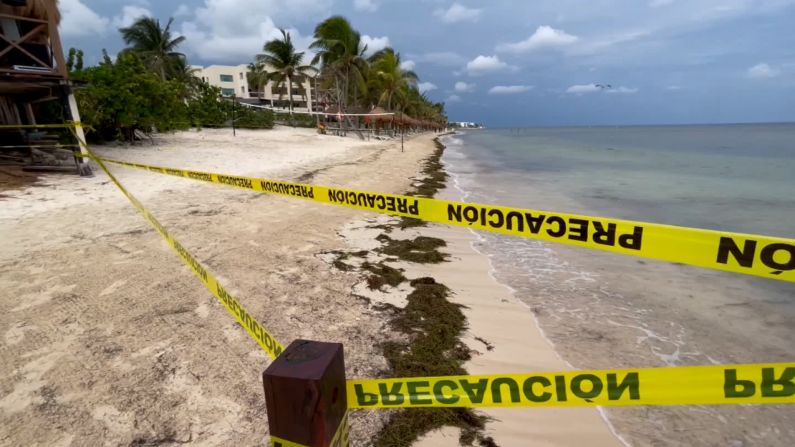 Dos personas murieron durante el enfrentamiento entre integrantes de “grupos antagónicos de narcomenudistas” en Puerto Morelos, según la Fiscalía de Quintana Roo.  →