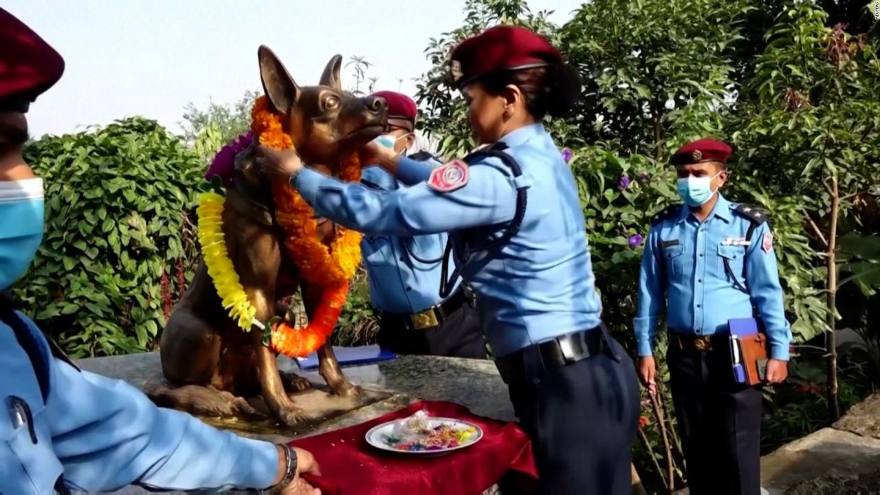 CNNE 1096074 - asi honran y festejan a la policia canina en nepal