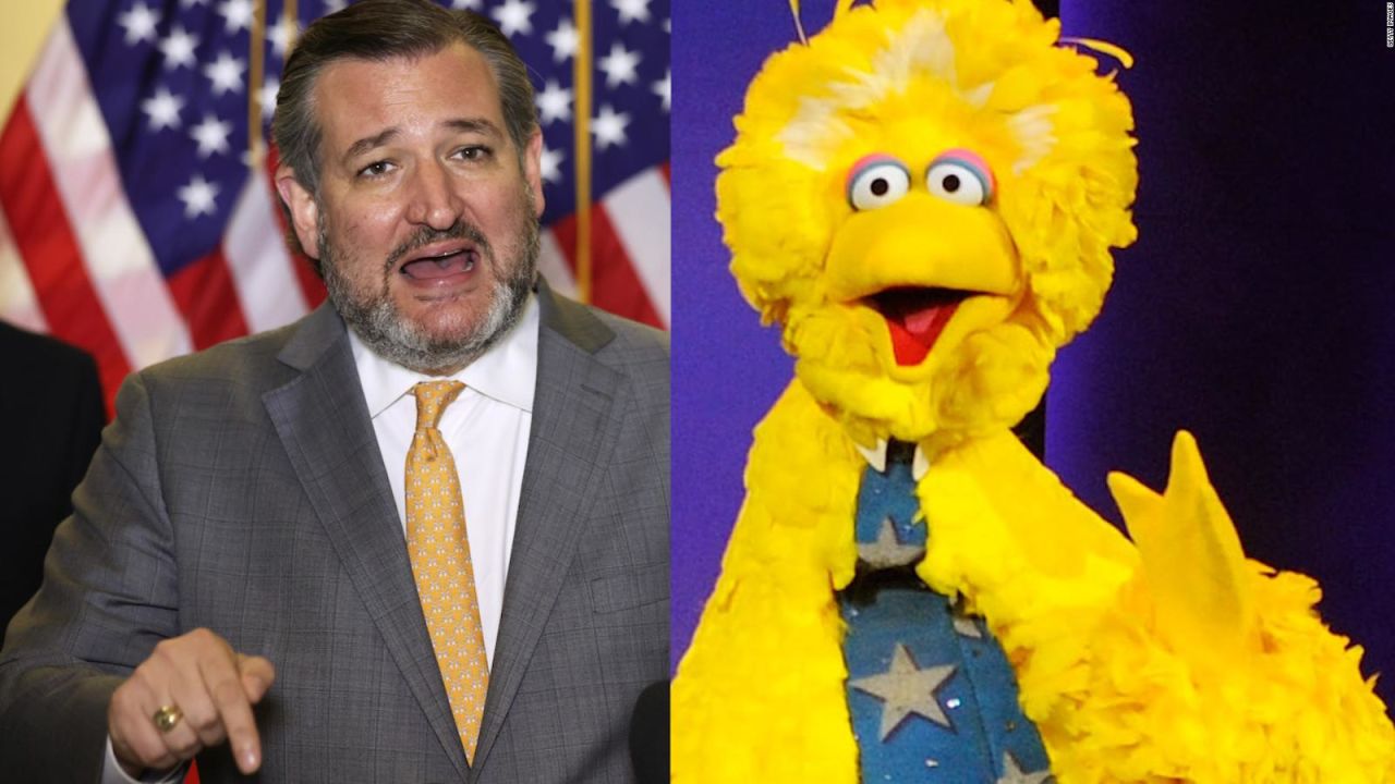 CNNE 1097136 - senador acusa a big bird de propagandista gubernamental