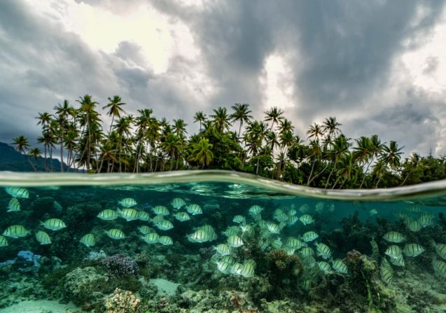 La economía de la isla de Bora Bora, en la Polinesia Francesa, está impulsada por el turismo, escribe Mittermeier. "El ecoturismo comunitario es una de las soluciones para apoyar la biodiversidad al tiempo que ayuda a empoderar a las comunidades locales para dar forma tanto al futuro de su hogar como al de nuestro océano", añade.