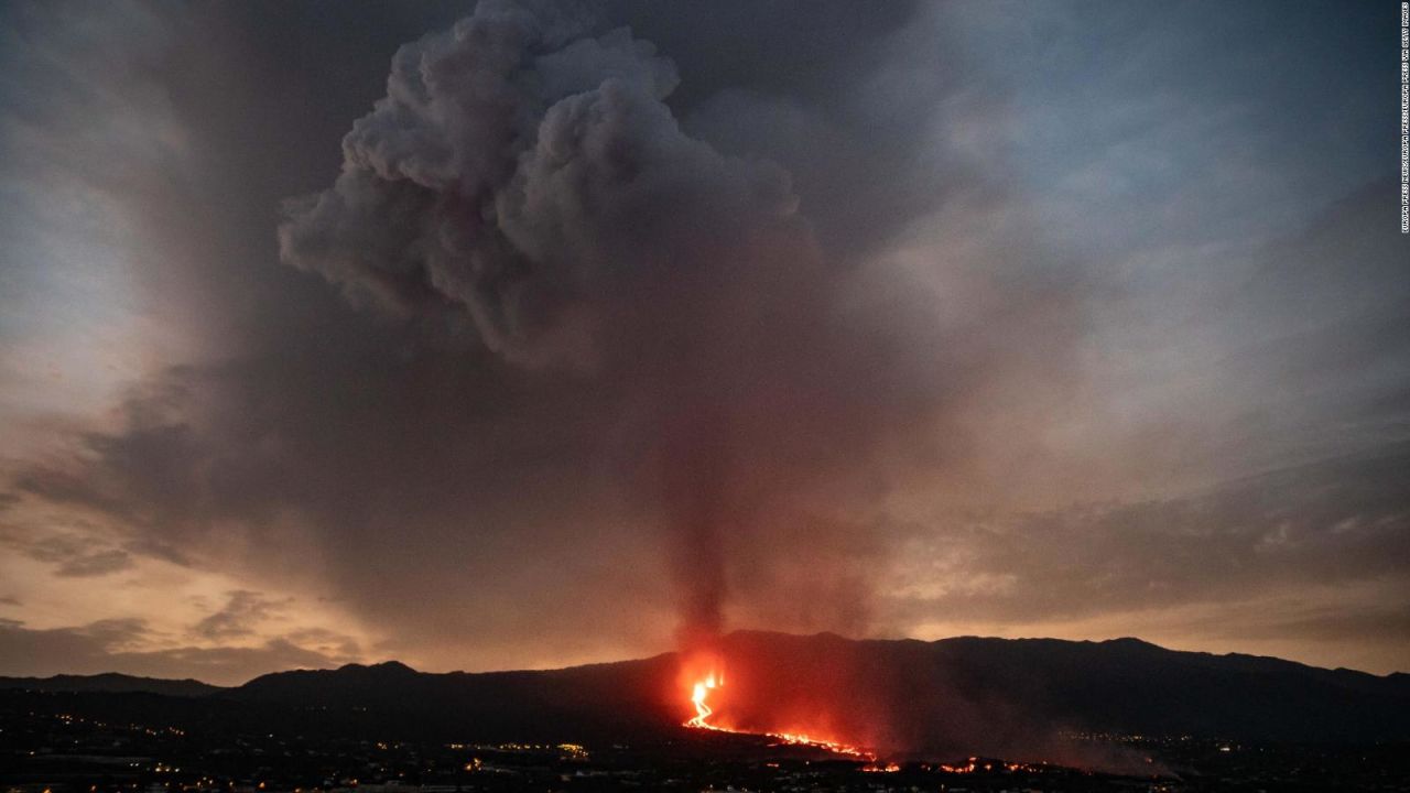 CNNE 1098225 - asi sobreviven los animales en la palma