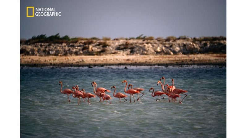 Para unas vacaciones multigeneracionales, National Geographic recomienda Bonaire, una de las llamadas islas ABC.
