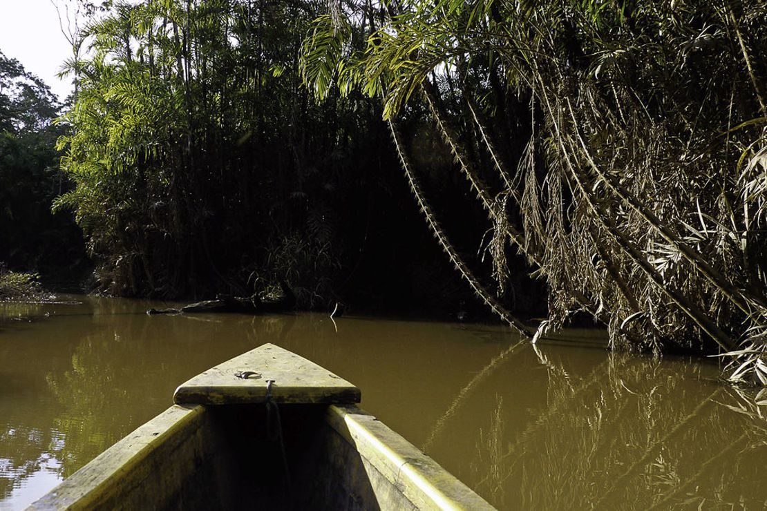 El Parque Nacional Yasuní, en Ecuador.