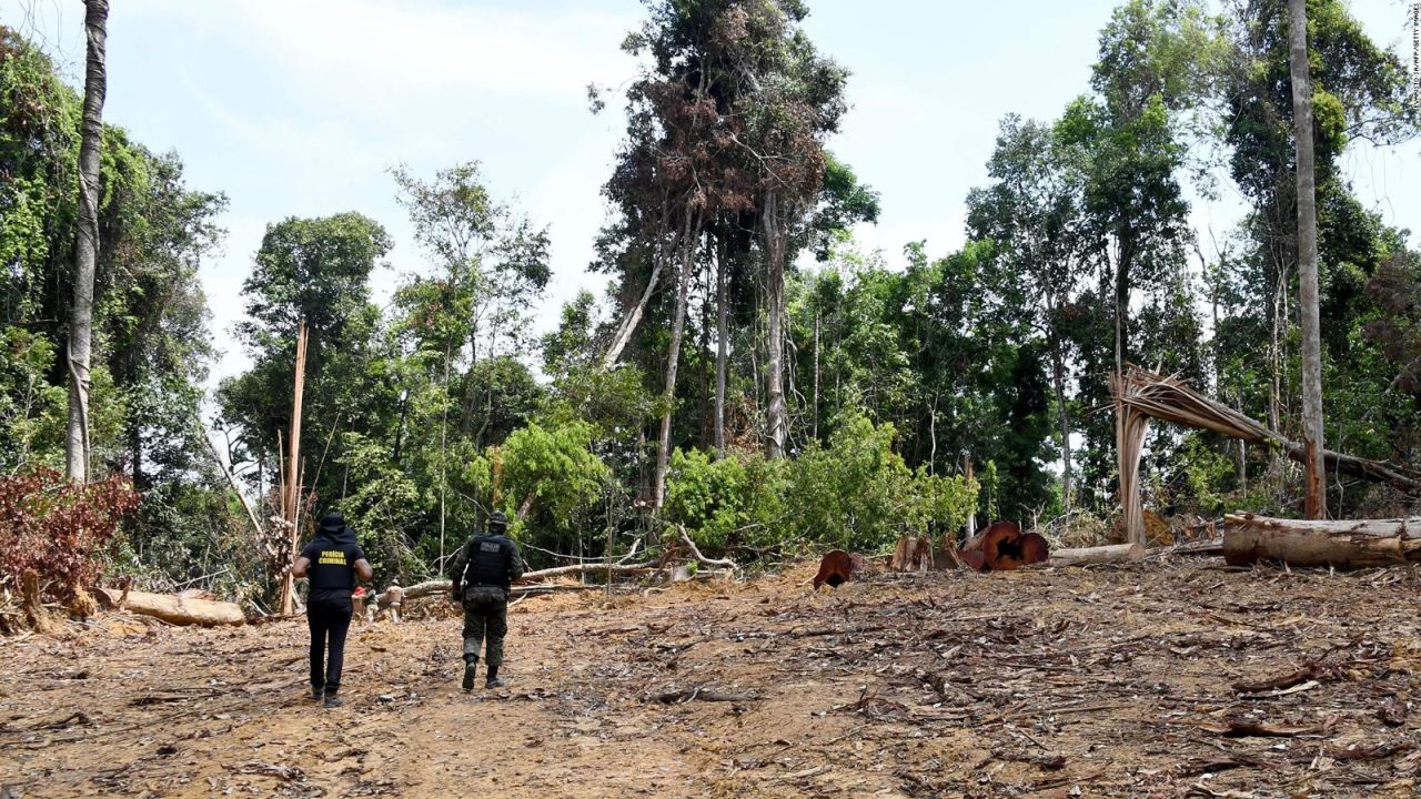 CNNE 1103541 - mientras se habla de crisis climatica, la deforestacion en la amazonia crece