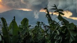 CNNE 1104114 - mira la impresionante lluvia de cenizas en la palma