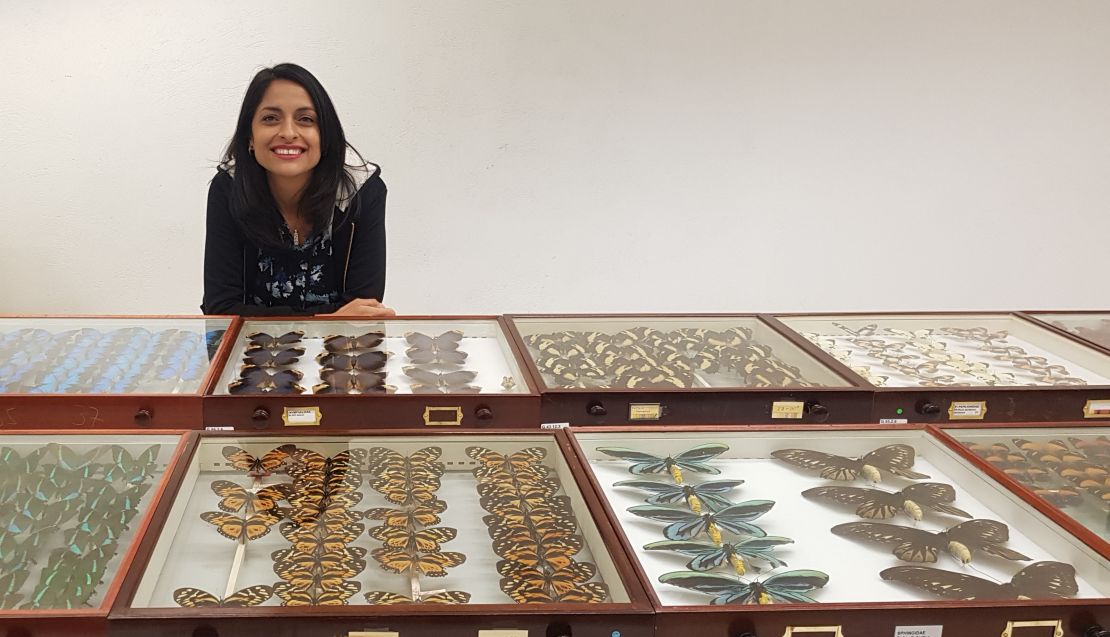 La colombiana Blanca Huertas es la curadora senior de la colección de mariposas del Museo de Historia Natural de Londres.