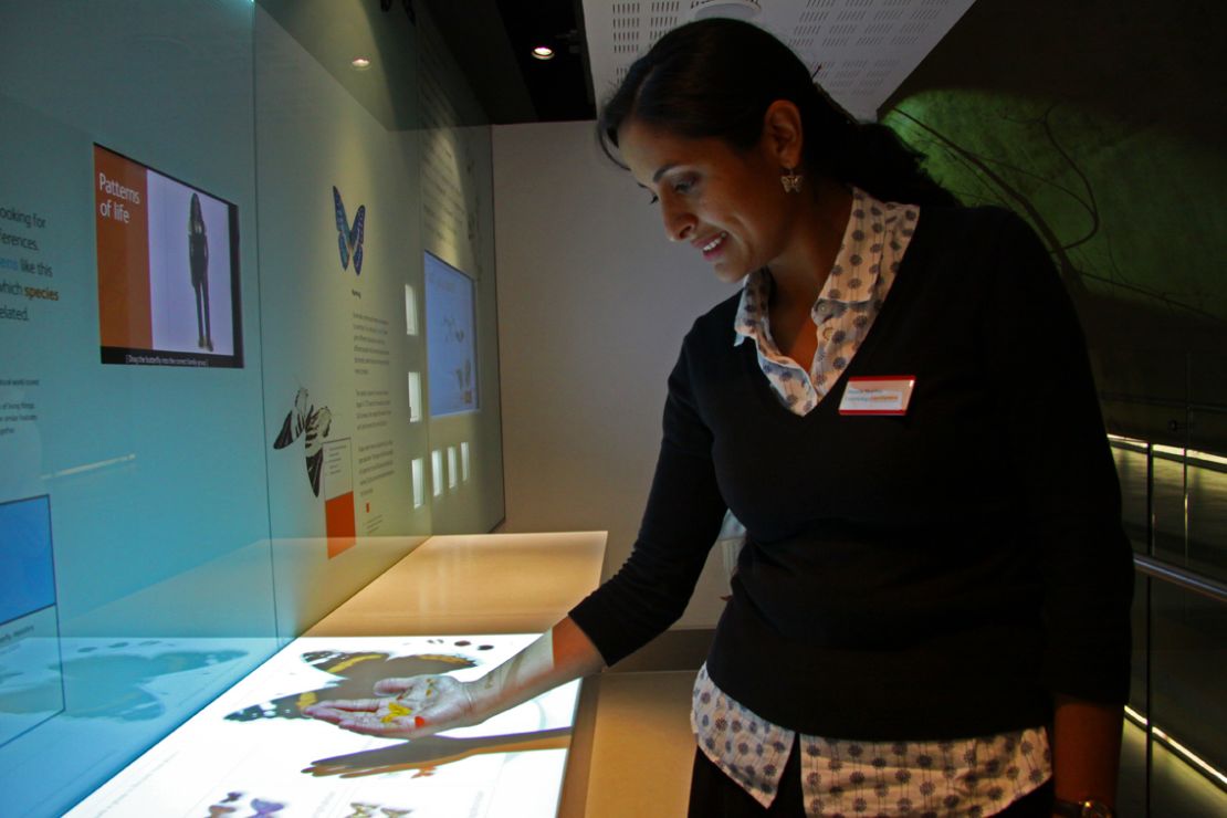 La colombiana Blanca Huertas es la curadora senior de la colección de mariposas del Museo de Historia Natural de Londres.