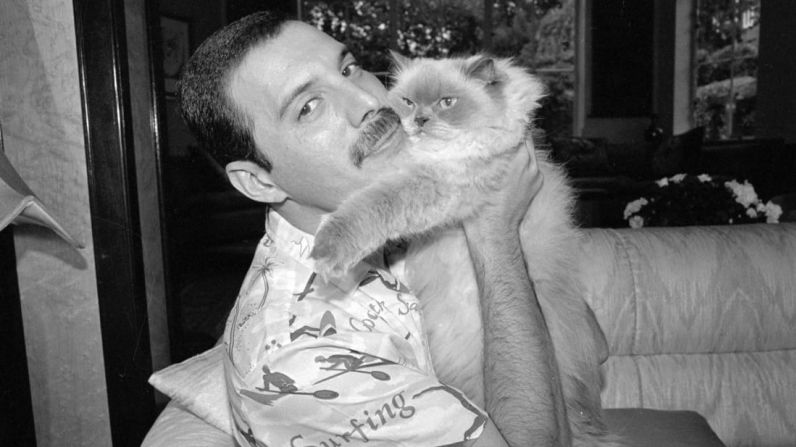 El fotógrafo Richard Young y Freddie Mercury se conocieron en la víspera de Año Nuevo de 1977. En los años siguientes, Young fotografió las mayores actuaciones y fiestas de Mercury, así como momentos más tranquilos de la vida personal del cantante, como este de la imagen con su gato Tiffany en su casa en Londres en 1988.