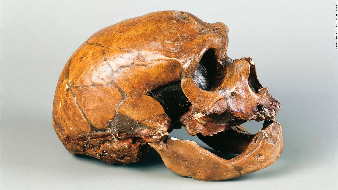 El cráneo de un hombre neandertal conocido como el "Viejo de La Chapelle" descubierto en 1908, fue el primer esqueleto neandertal relativamente completo en ser encontrado.