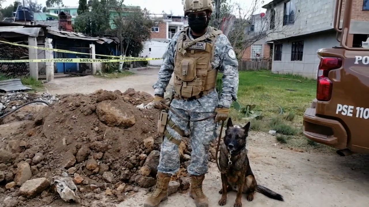 CNNE 1108279 - asi ayudan perros de mexico a evitar el huachicol