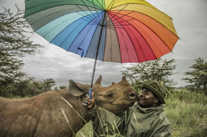 Ami Vitale - Kamara y Kilifi. Vital Impacts fue fundada por la periodista visual Eileen Mignoni y Ami Vitale, que fue fotógrafa de conflictos durante una década antes de convertirse en fotógrafa de la vida silvestre. Esta imagen de Vitale muestra a Kilifi, un rinoceronte de 18 meses, y a su cuidador, Kamara. Kilifi fue criado en la Lewa Wildlife Conservancy de Kenya. Crédito: Ami Vitale