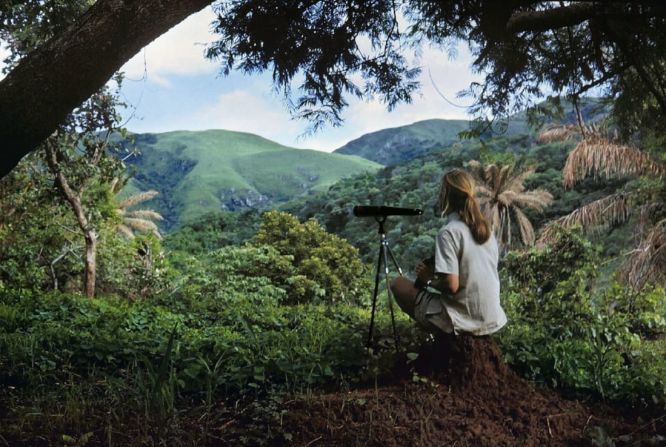 Jane Goodall - Autorretrato. Aquí, la célebre primatóloga Jane Goodall aparece con un telescopio, buscando chimpancés en el bosque del Parque Nacional de Gombe, Tanzania. Goodall tomó esta foto en torno a 1962, utilizando una cámara sujeta a la rama de un árbol. "Tuve que encontrar un lugar en el que hubiera un árbol justo para equilibrar la cámara", dijo Goodall a Vital Impacts. "Tuve que montar el trípode y moverlo hasta que tuve el trípode y la imagen imaginaria de mí bien encuadrada... Estaba muy orgullosa de mí misma. Me encanta esa foto". Crédito: Jane Goodall