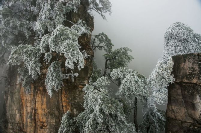 Michael Yamashita - Pilares de arenisca rodeados de niebla. Esta imagen de pilares de arenisca en Wulingyuan, China, fue capturada por Michael Yamashita. Crédito: Michael Yamashita