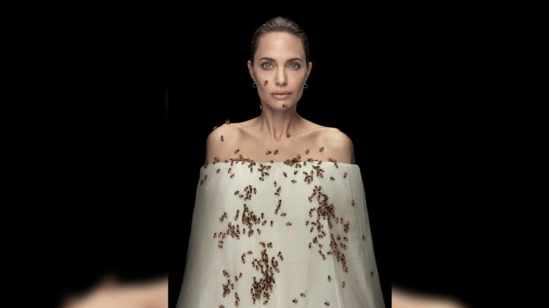 14 de marzo — la actriz y activista Angelina Jolie se cubre de abejas para una sesión fotográfica previa al Día Mundial de la Abeja, que se celebra en mayo. La imagen, tomada por Dan Winters para National Geographic, fue un homenaje al famoso retrato "Beekeeper" del fotógrafo Richard Avedon y utilizó la misma feromona de la abeja reina para atraer a las abejas. Winters dijo que Jolie era "intrépida". Posó con las abejas durante 18 minutos y no recibió ninguna picadura, dijo en Instagram.