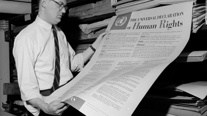 Salvioli: Gobiernos que quieren interpretar DD.HH. es como dejarle al zorro la llave del gallinero