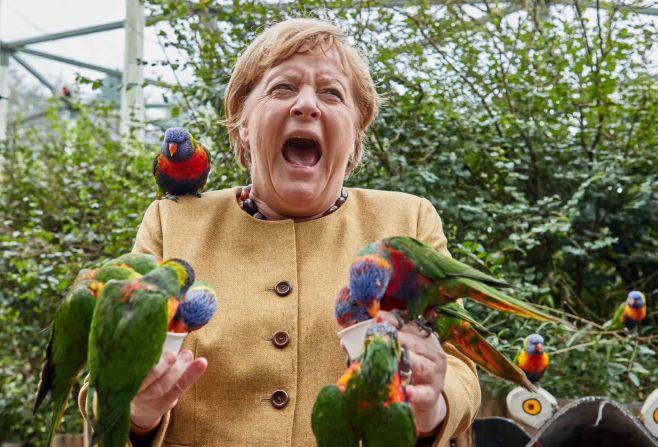 23 de septiembre — la canciller de Alemania, Angela Merkel, alimenta a los loritos australianos en el parque de aves Marlow en Marlow, Alemania. Merkel, la primera mujer canciller de Alemania, no se postuló para la reelección este año. Ella dejó el cargo al final de su cuarto mandato.