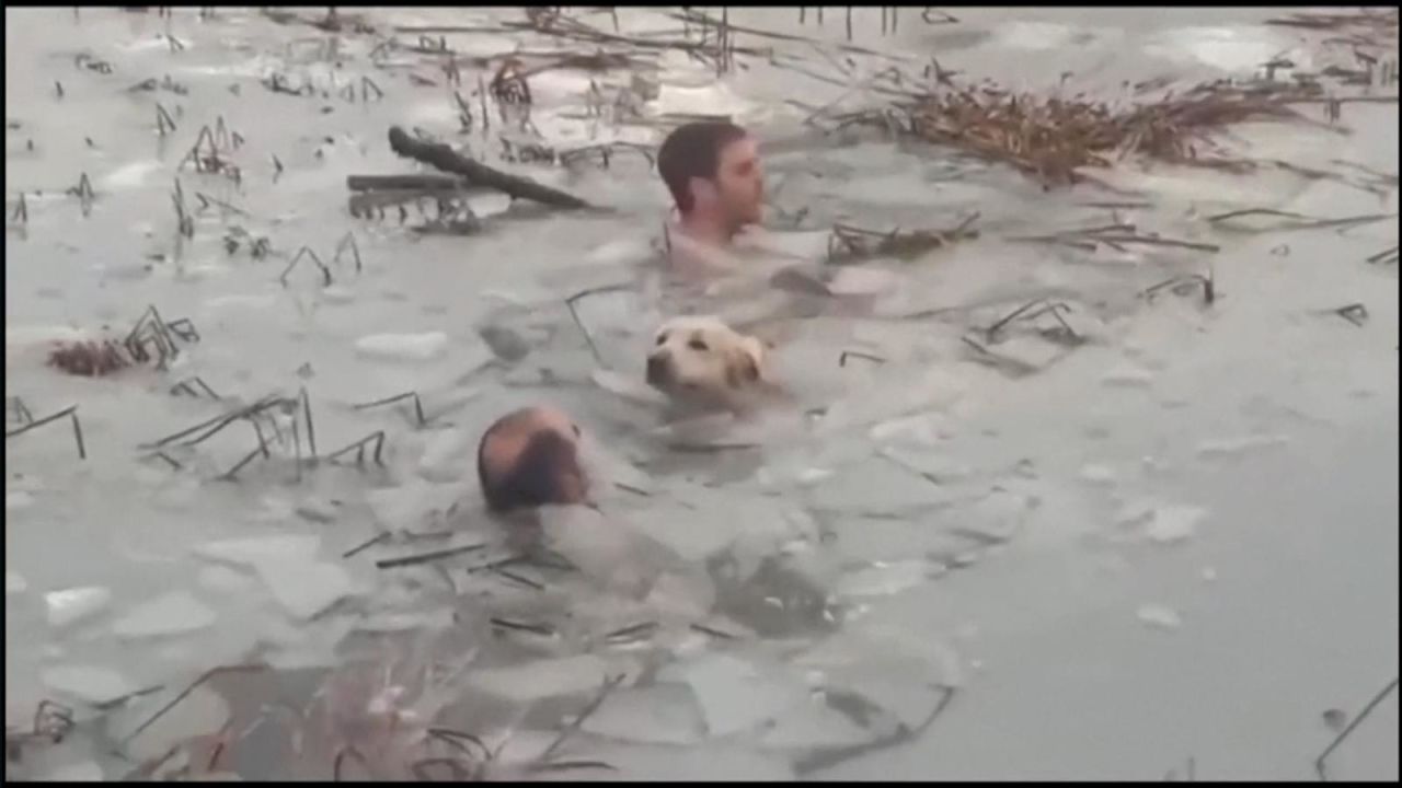 CNNE 1114516 - policia espanola rescata a perro de embalse congelado