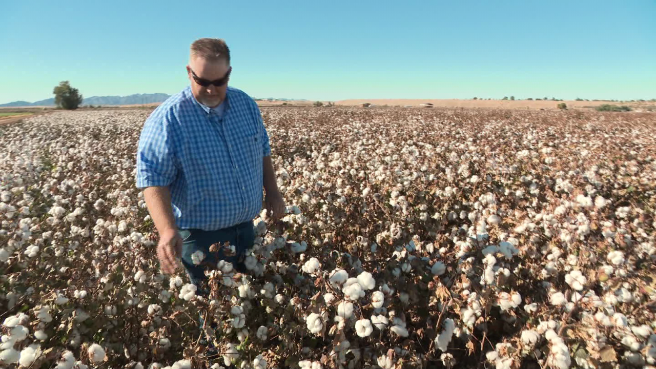 CNNE 1115191 - una nueva vision agricola- granjeros ganaran dinero sin cultivar y ahorrando agua