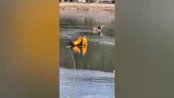 CNNE 1118142 - el peligroso rescate de un ciervo atrapado en lago helado