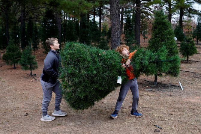 4 de diciembre – Ash Foster y su hermano Cru cargan su árbol de Navidad recién cortado en la granja de árboles de Navidad Sorghum Mill en Edmond, Oklahoma.