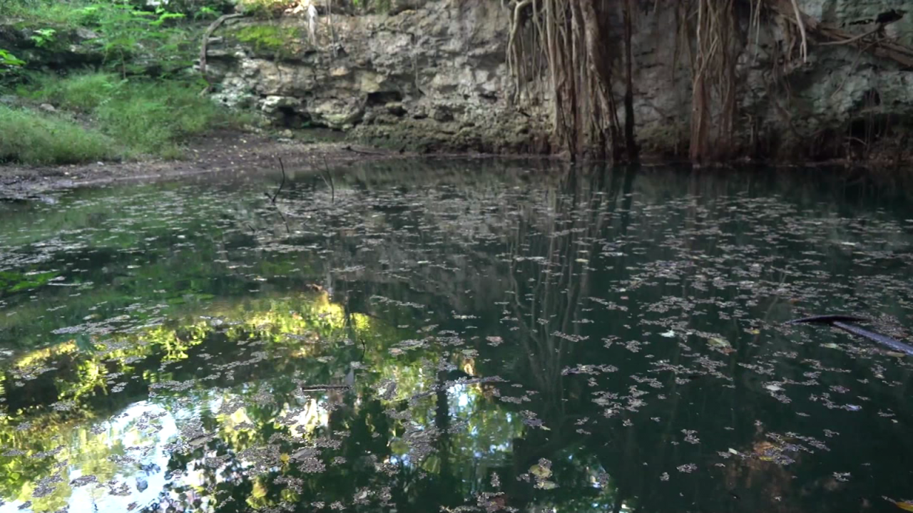 CNNE 1119744 - mira como protegen los cenotes, el gran tesoro de yucatan